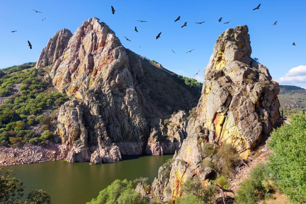 Posada El Arriero Torrejón el Rubio Esterno foto