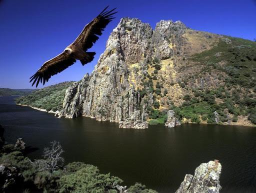 Posada El Arriero Torrejón el Rubio Esterno foto